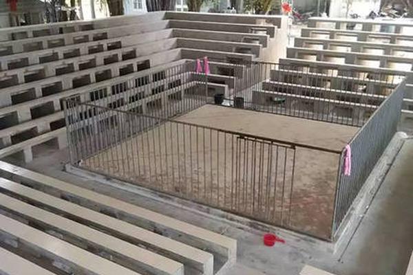 一分钟快三怎么判断龙种植农业技术人才求职简历(7AHR