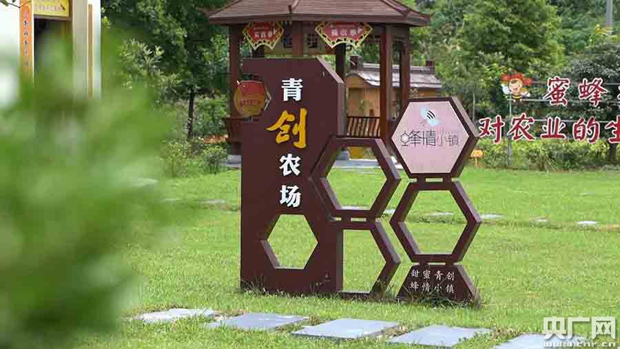 【山中青年】“蜂二代”的甜蜜事业