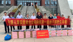 江淮抗洪 中国人寿用行动践行国企担当