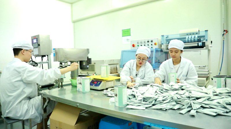 广邀青年人才回乡共建美好新靖江 “青靖马洲”打造聚才强磁场