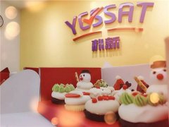 历尽千帆，不坠青云，新学年YESSAT将乘风破浪
