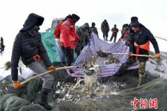 【政策摘编】新罗区职业培训补贴和职业技能鉴