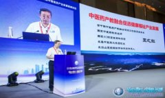 东北师范大学人文学院副董事长王之虹参加2020第