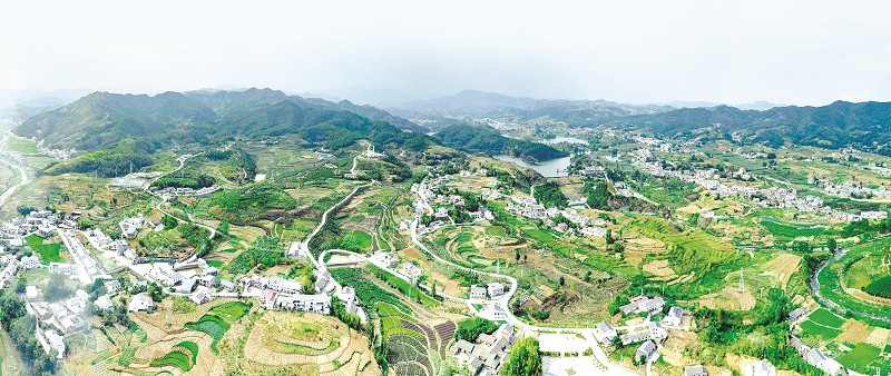 大交通 大提升 ——十堰市交通运输局全力推进行业复工复产提速扩面纪实