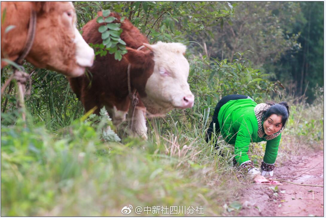广州微房团科技有限公司