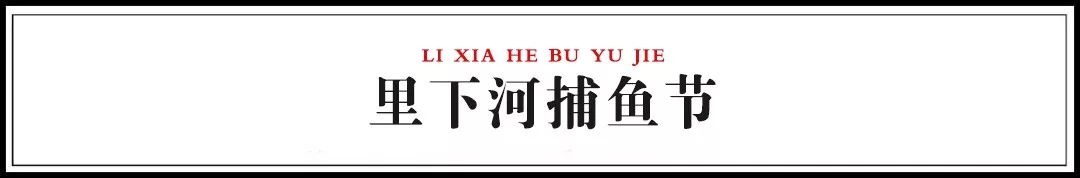 又到一年捕鱼季,又逢一度丰收年!