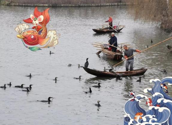 又到一年捕鱼季,又逢一度丰收年!