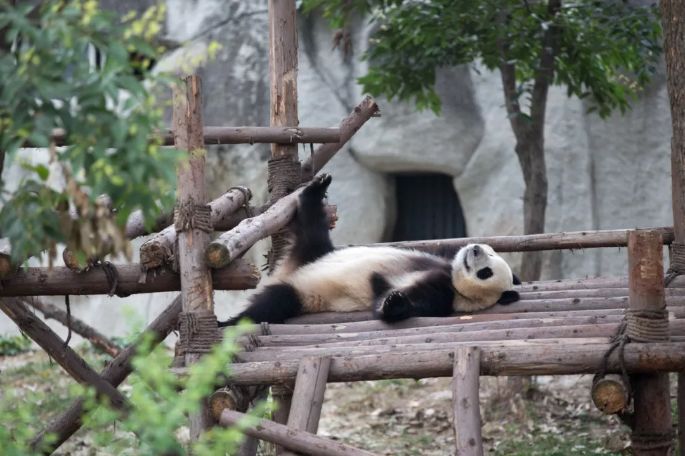 “我太南了！”刷爆朋友圈，这一届成都年轻人