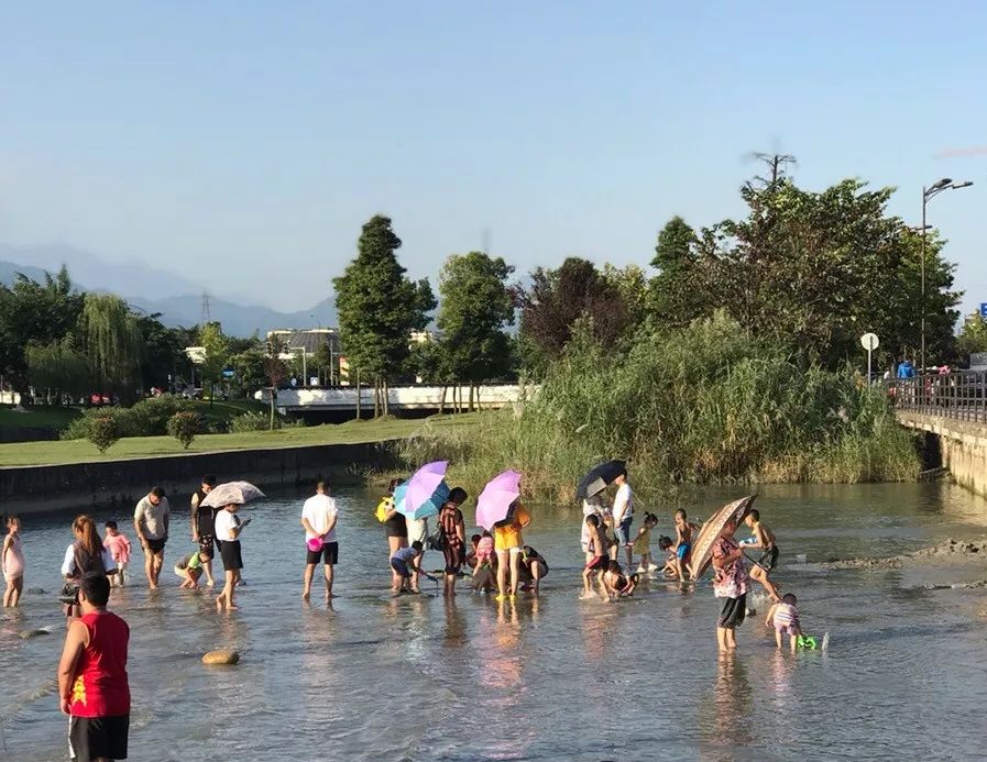 “我太南了！”刷爆朋友圈，这一届成都年轻人