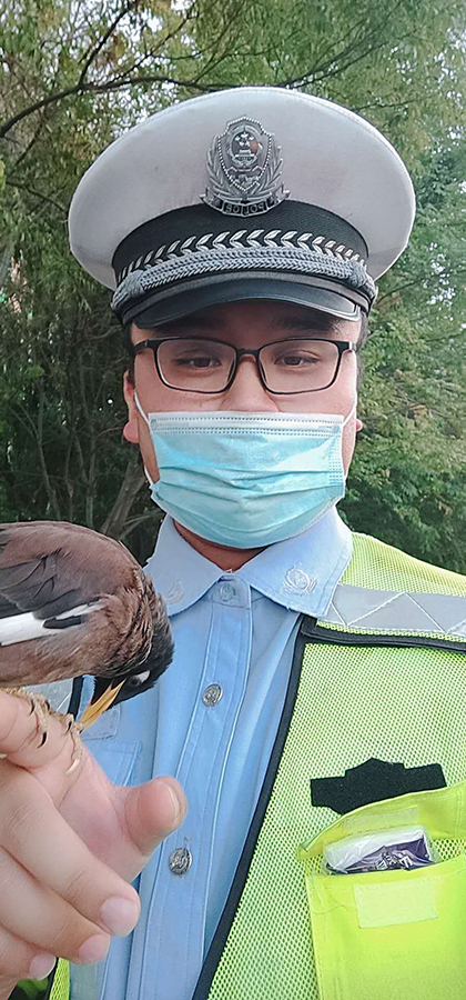 防“疫“趣事|新疆伊宁交警执勤被超有爱小鸟守护一整天！