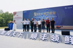 顺丰大闸蟹行业解决方案再升级，助力高邮湖大闸蟹美味横行天下