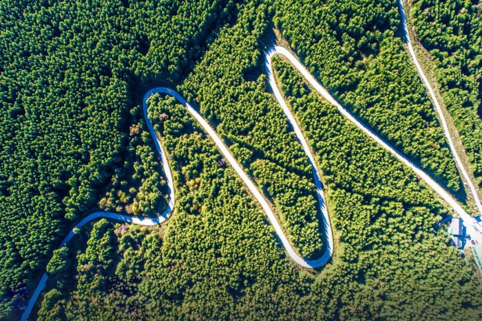 穿山越领,无往不克 2020崇礼翠云山汽车摩托车登山大奖赛燃情上演