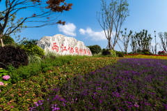 两江新区拟出台人才安居政策