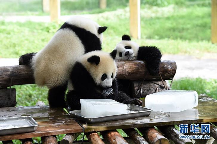 一周奇闻趣事（7月14日