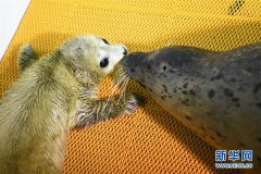 3月30日－4月5日国内一周趣事