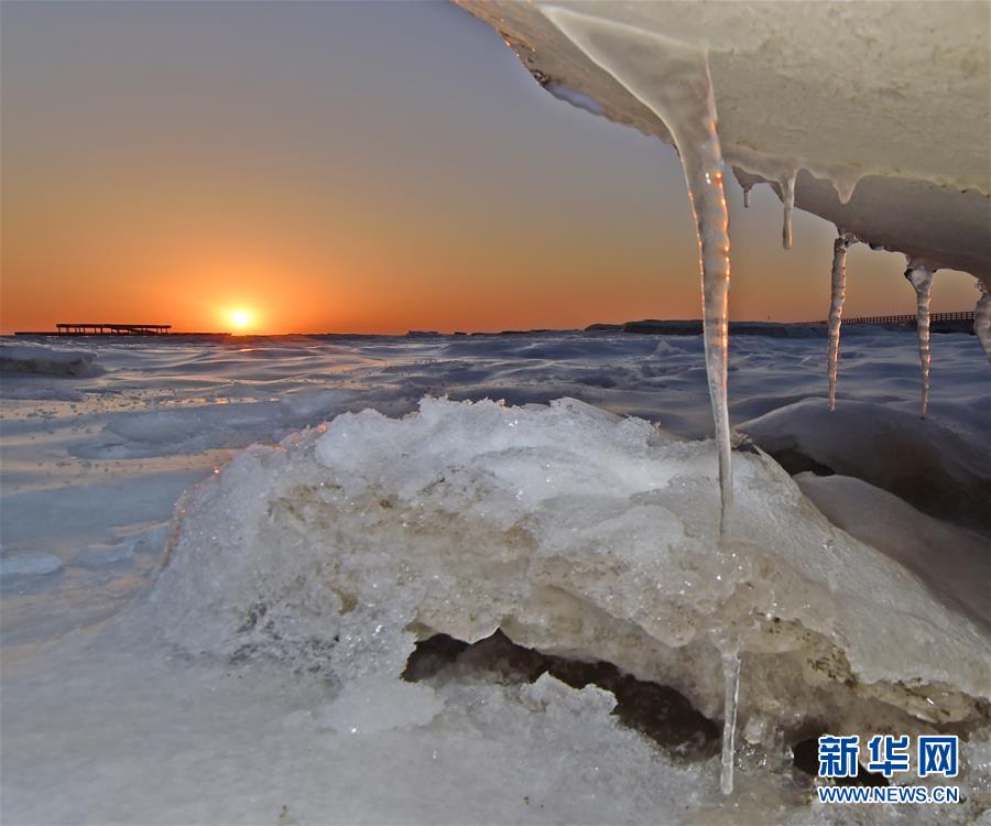 （生态）（1）辽宁兴城现“海冰奇观”