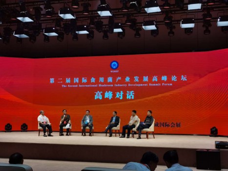 助力“三农”放异彩! ——第二十四届中国(廊坊)农交会圆满闭幕