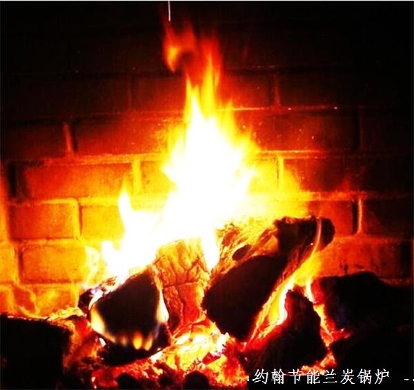 （兰炭锅炉资讯）兰炭锅炉厂家大观环保兰炭锅炉排放
