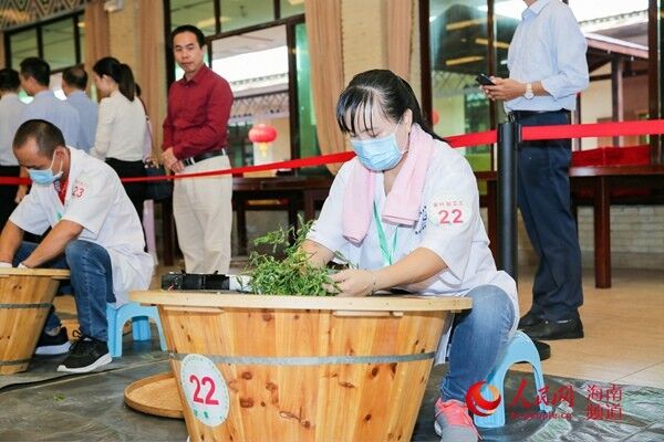 育優秀茶人助產業發展海南茶業行業職業技能競賽開幕