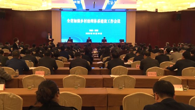 县委书记刘莉在全省加强乡村治理体系建设工作