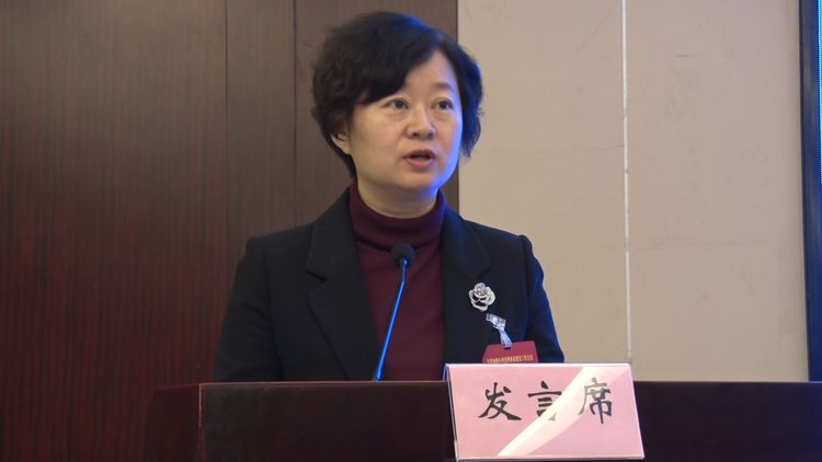 县委书记刘莉在全省加强乡村治理体系建设工作