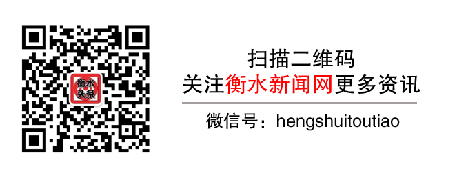 衡水市将于11月20日启动日常人才交流活动