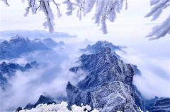 张家界的冬天怎么样？树上挂满雾凇